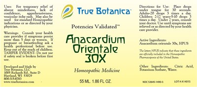 Anacardium orientale_30X_55 ml otc_v1_1-2014.jpg Anacardium Orientale 30X - Anacardium orientale 30X 55 ml otc v1 1 2014
